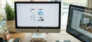 Professional Website Design