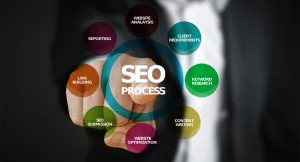 Seo Process